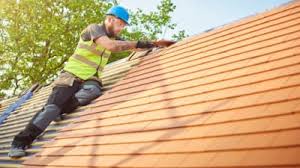 Best Roof Moss and Algae Removal  in Durant, OK