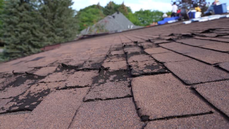 Best Rubber Roofing (EPDM, TPO)  in Durant, OK